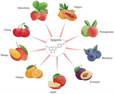 Recent advancement in bioeffect, metabolism, stability, and delivery systems of apigenin, a natural flavonoid compound: challenges and perspectives